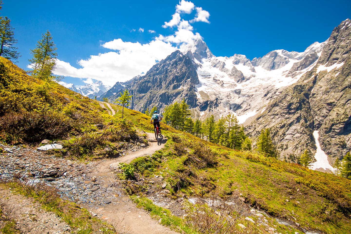 Blick auf das Mont Blanc Massiv So sehen Sieger aus
