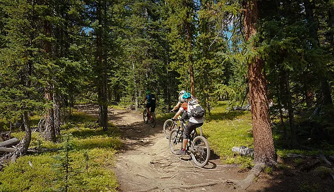 Mountainbike AllMountain Tour: Colorado Trail Section SIX