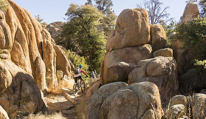 Mountainbike Enduro Tour: Constellation Trails