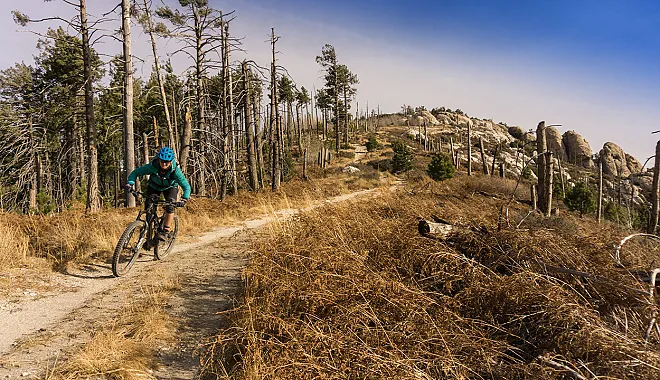 Mountainbike Enduro Tour: Mt Lemmon CDO Trail