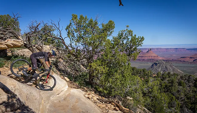 Mountainbike Enduro Tour: The Whole Enchilada
