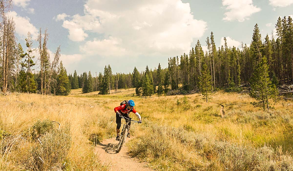 Flow Trails in Breckenridge Flow Trails