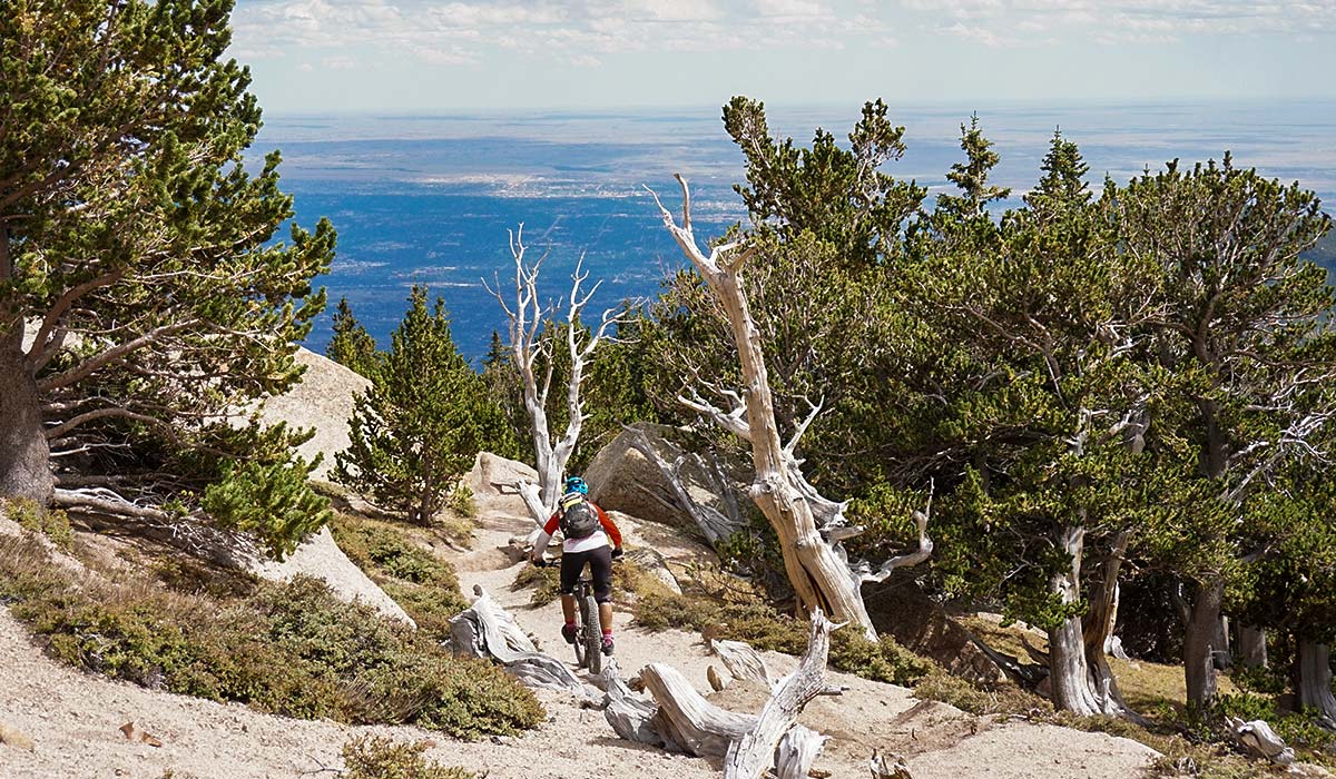 Pikes Peak MTB Trail