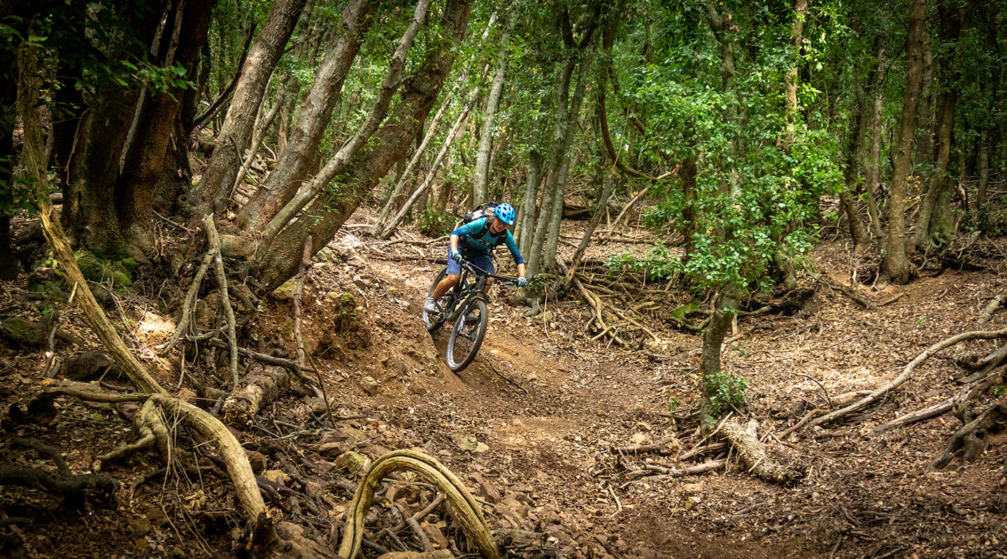 Technische Abschnitte