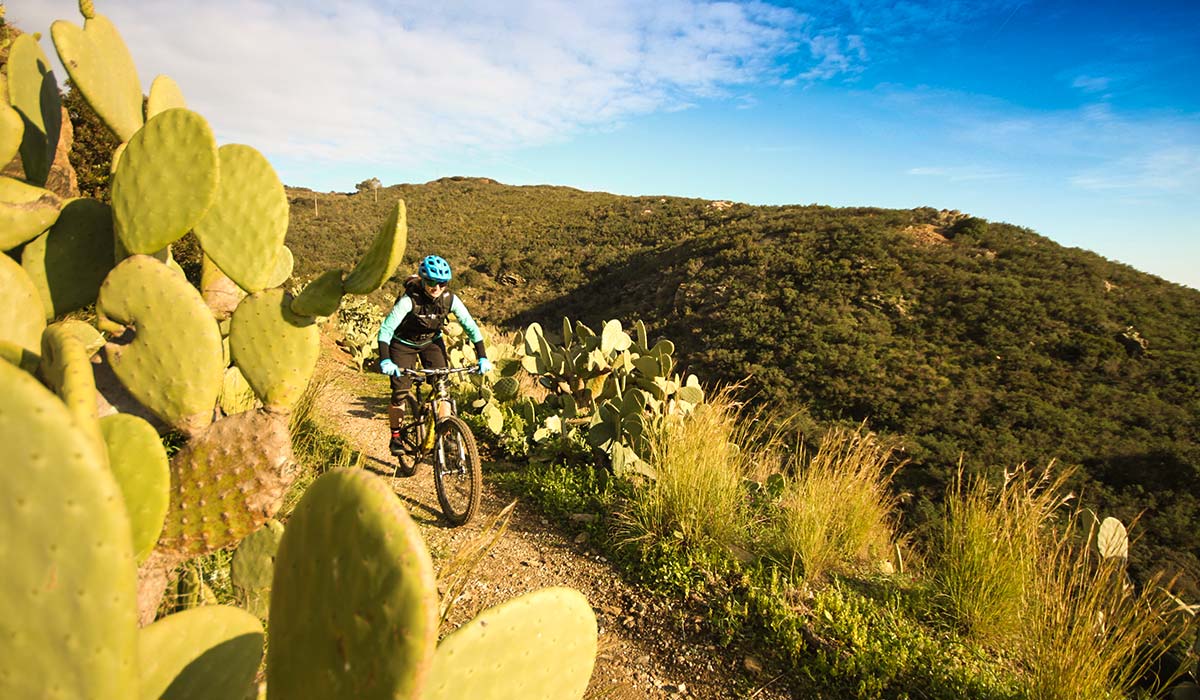 MTB Strand Hopping MTB Strand Hopping