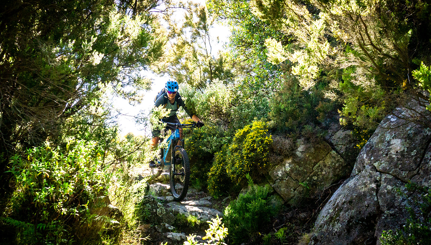 Blütenmeer mit Ausblick