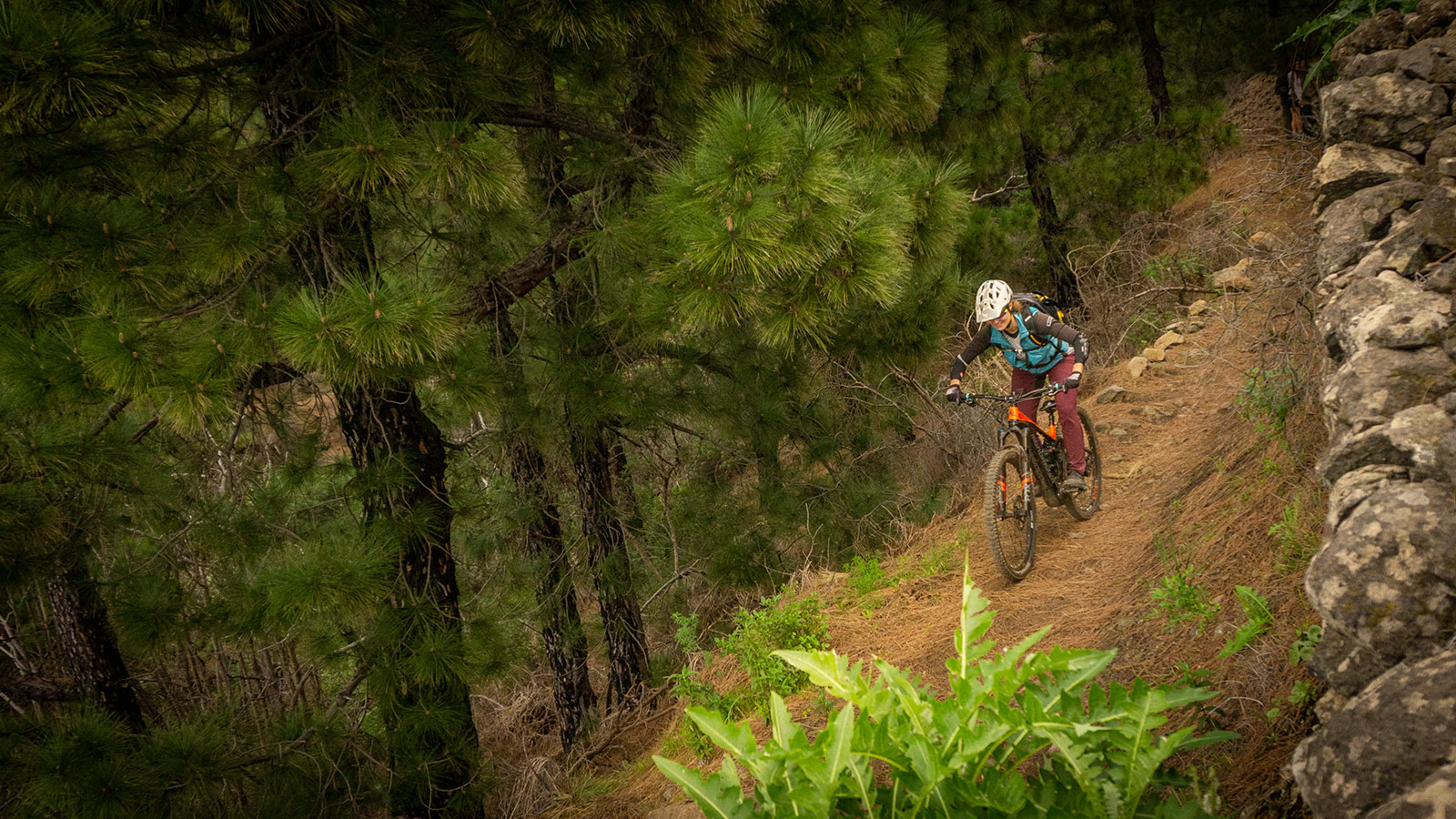 E-Bike: Was musst du wissen