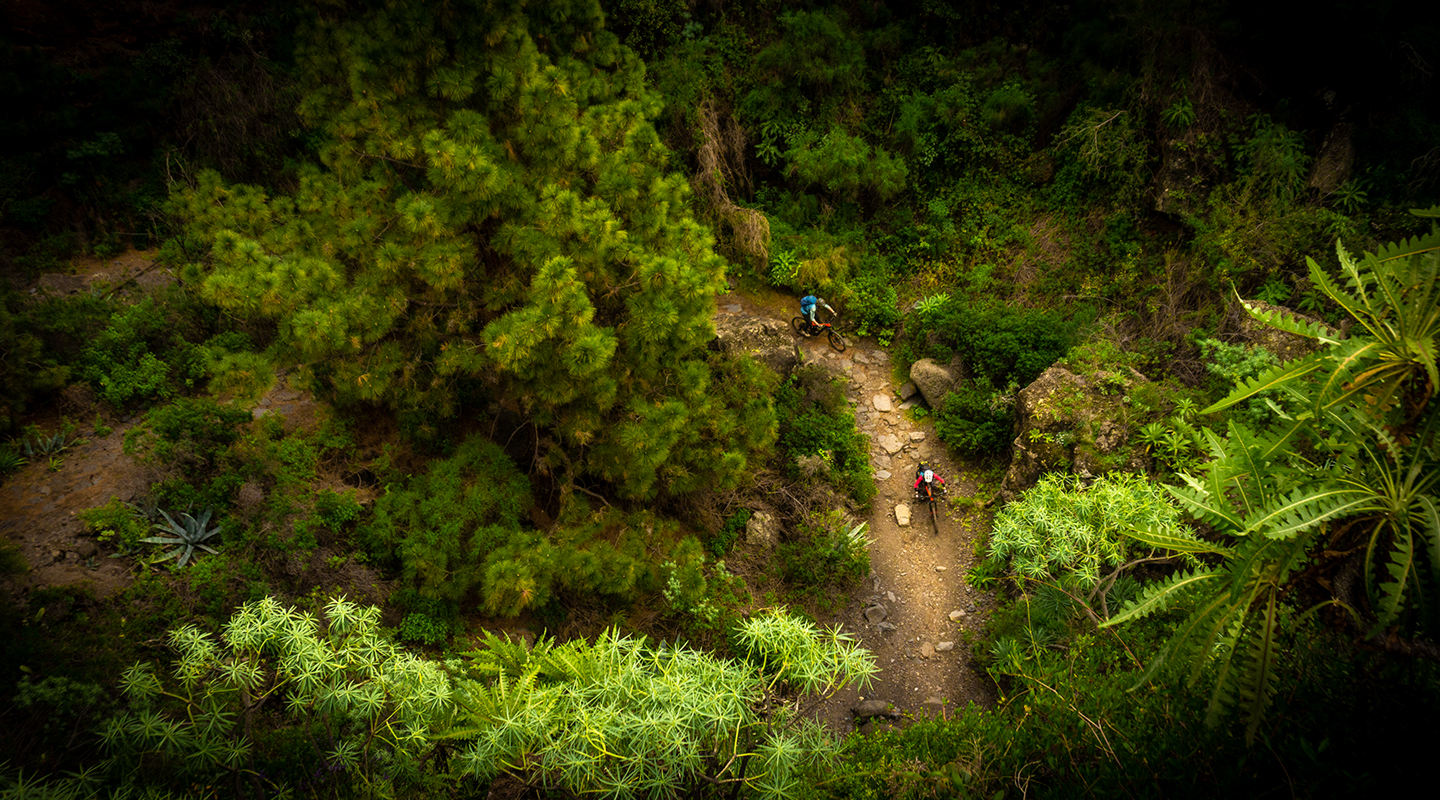 La Palma mit dem E-Bike