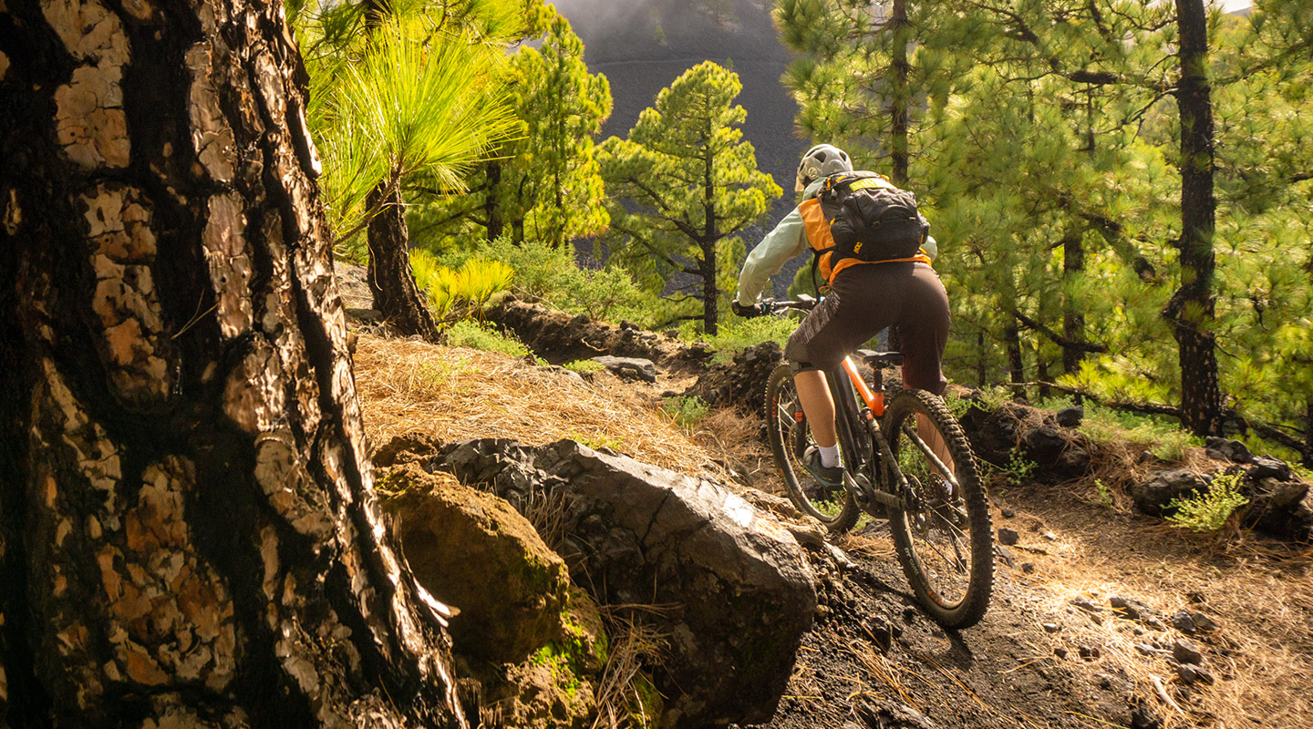 Wald Flow Vulcano Tour