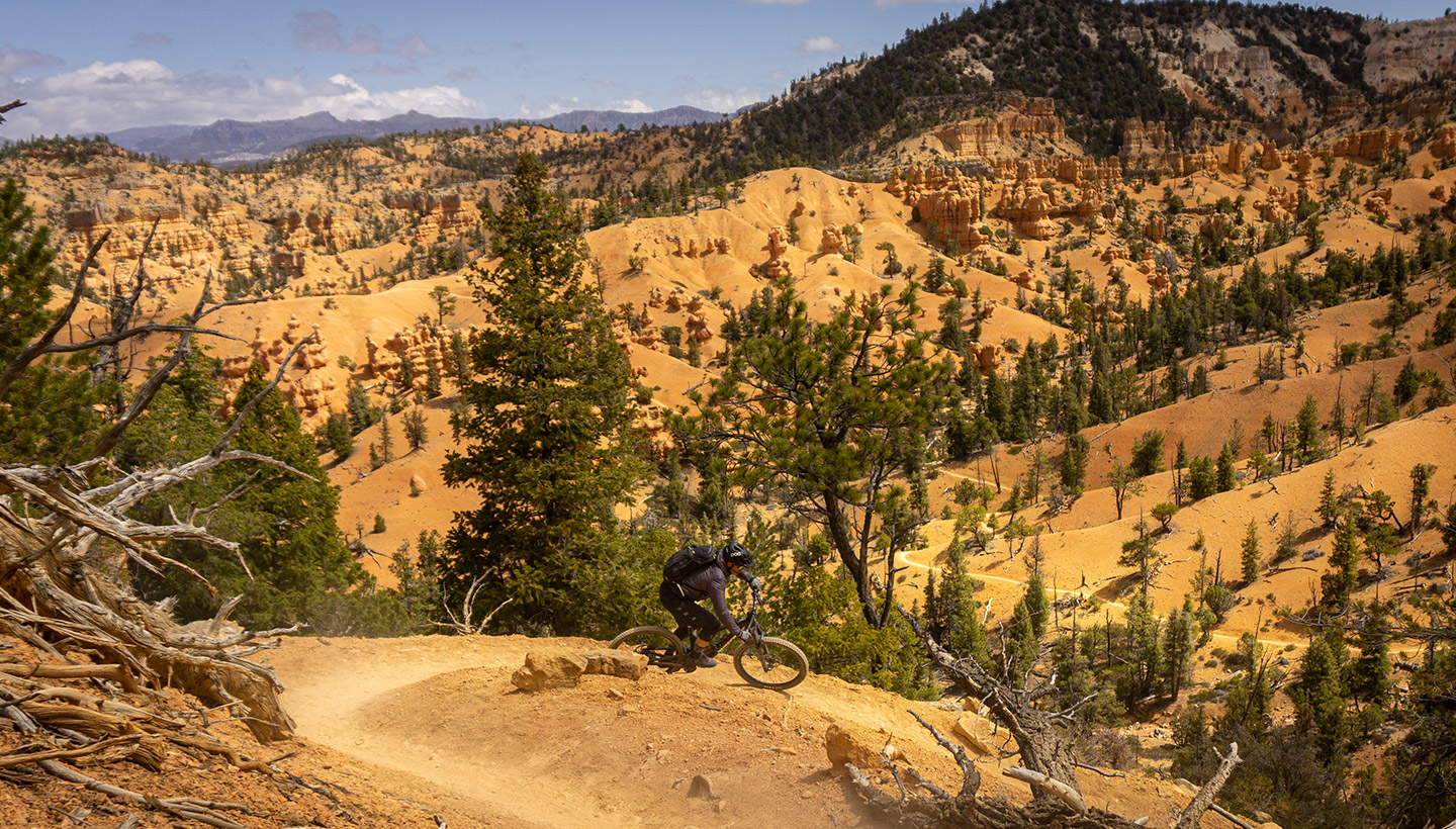 Landschaft zum Verlieben