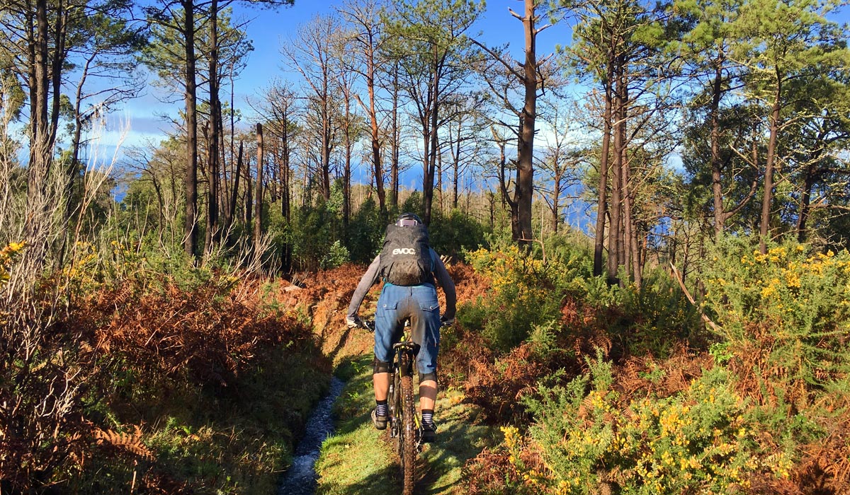 Levada Mountainbike Levadas