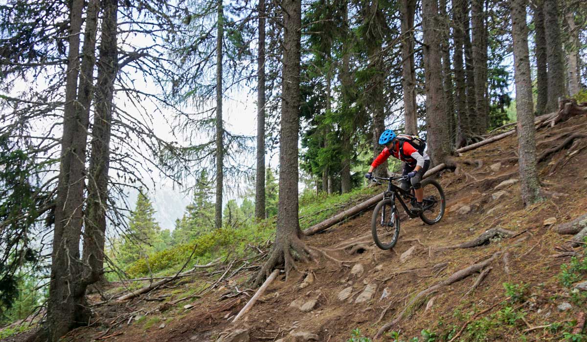Reschen Enduro Trails mit Wurzelteppichen 3 Länder Enduro Trails wie es sein soll
