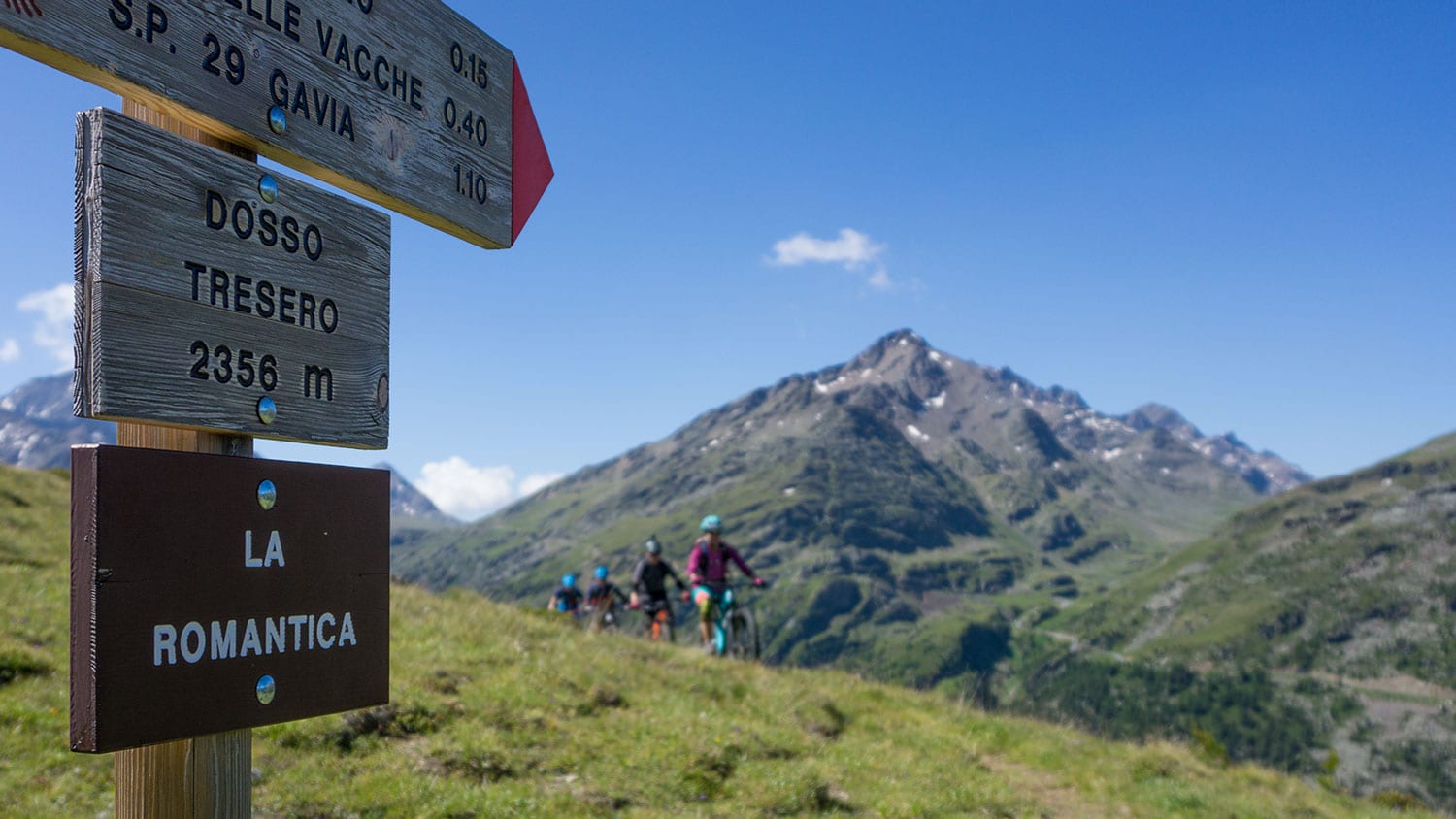 Blick auf den Forni Gletscher