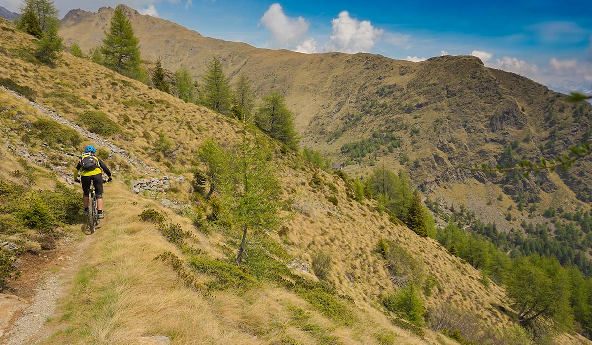 Viel Flow im oberen Teil des Schiazzera Trails Flow und Kehren im oberen Teil des Trails