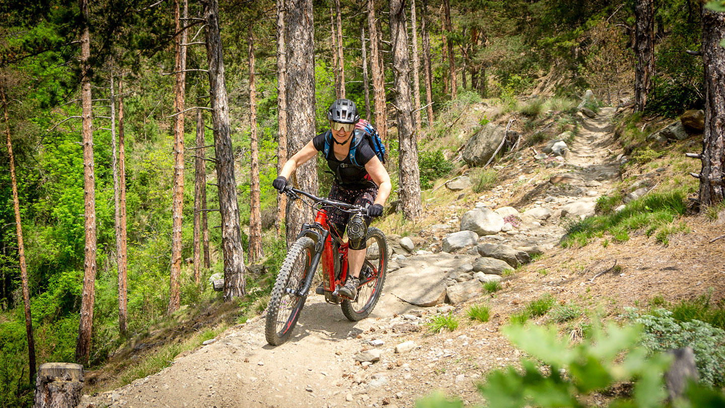 Section 4 Flipsi Trail