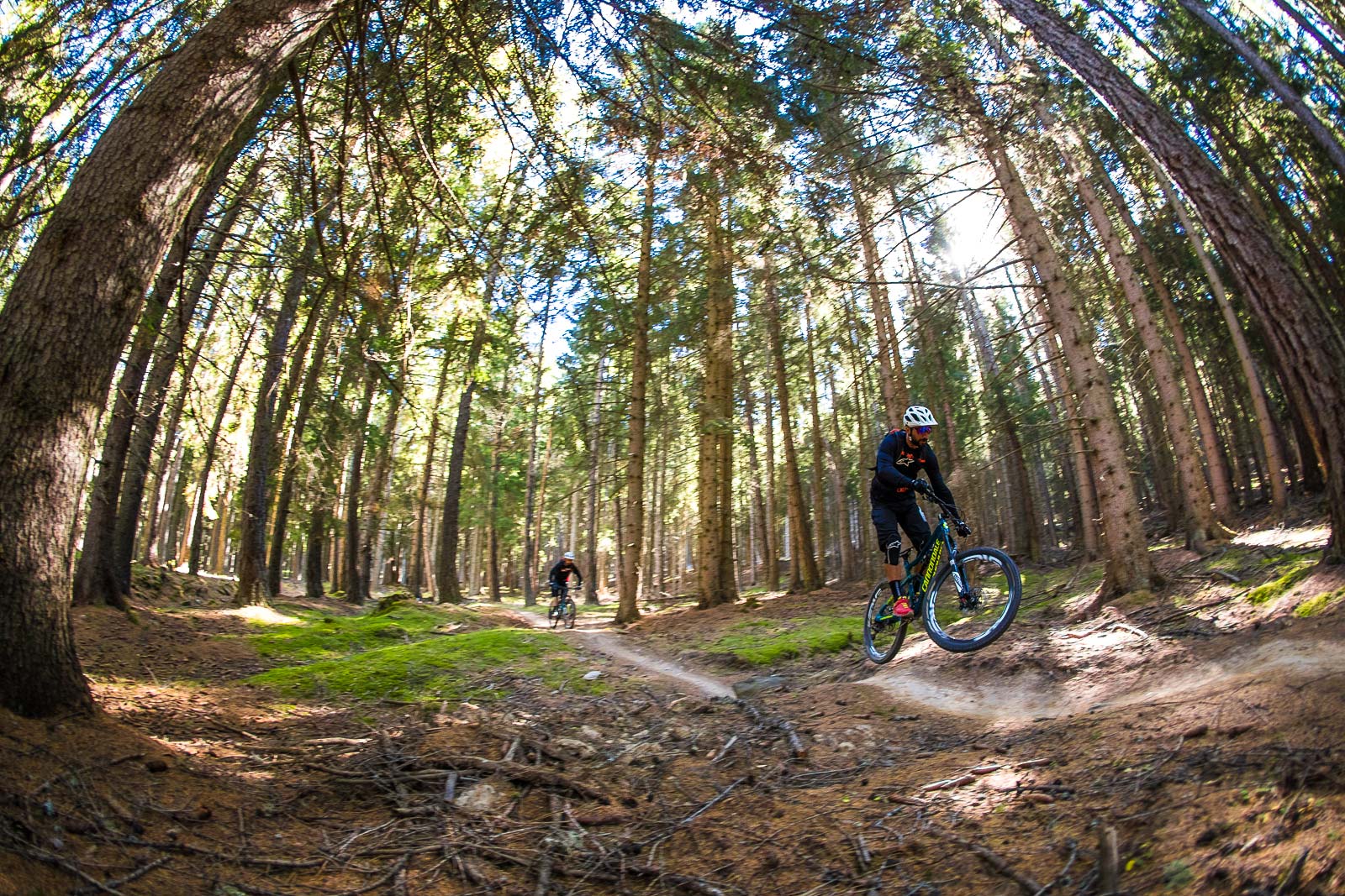 Kleine Jumps und Wellen