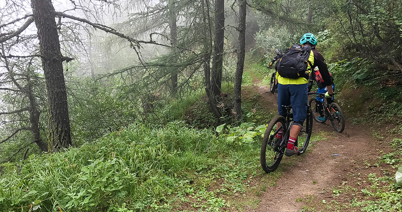 Sonnenberg Mountainbike